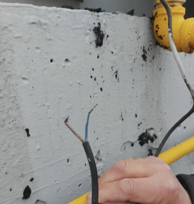 βιολαντα45576