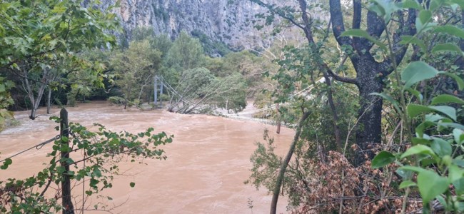 ΓΕΦΥΡΑ ΤΕΜΠΗ