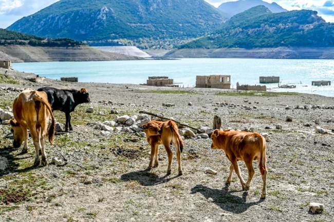 ΒΥΘΙΣΜΕΝΟ ΧΩΡΙΟ ΚΑΛΛΙΟ
