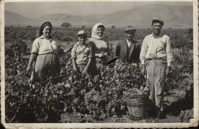 ρετσίνα κουρτάκη