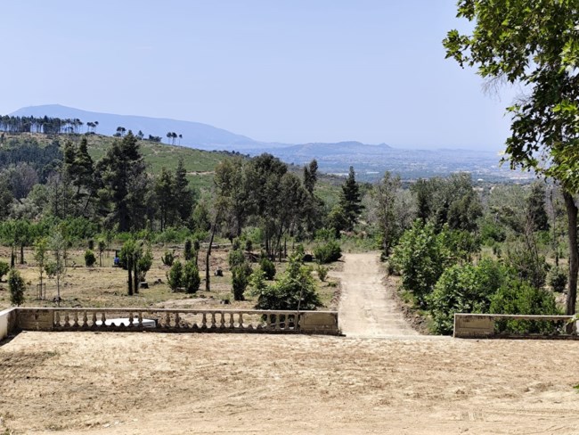 τατοι