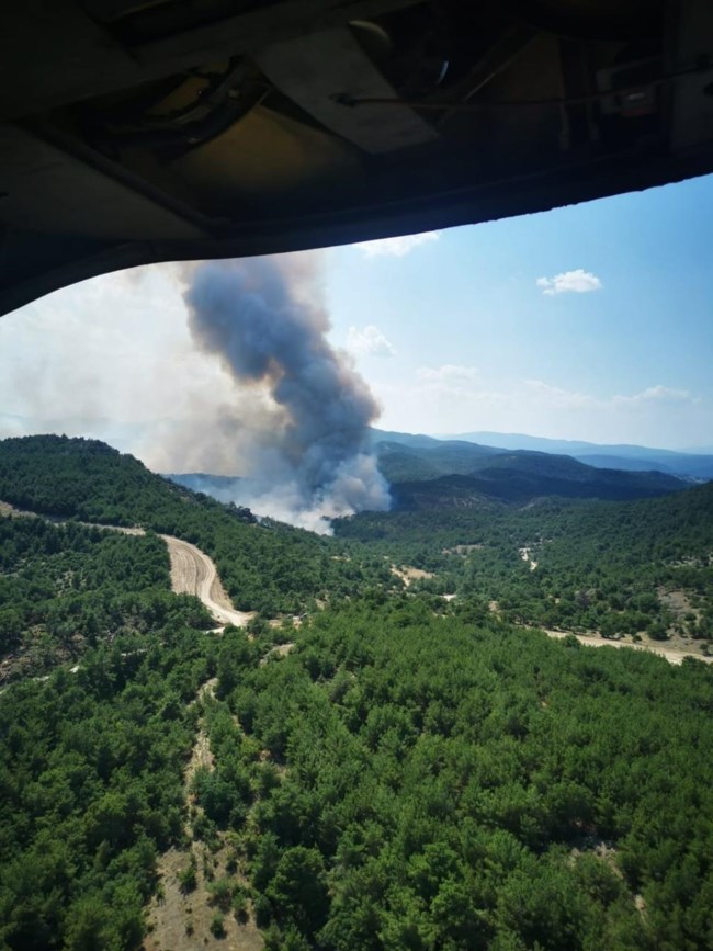 Φωτιά στο δάσος της Δαδιάς