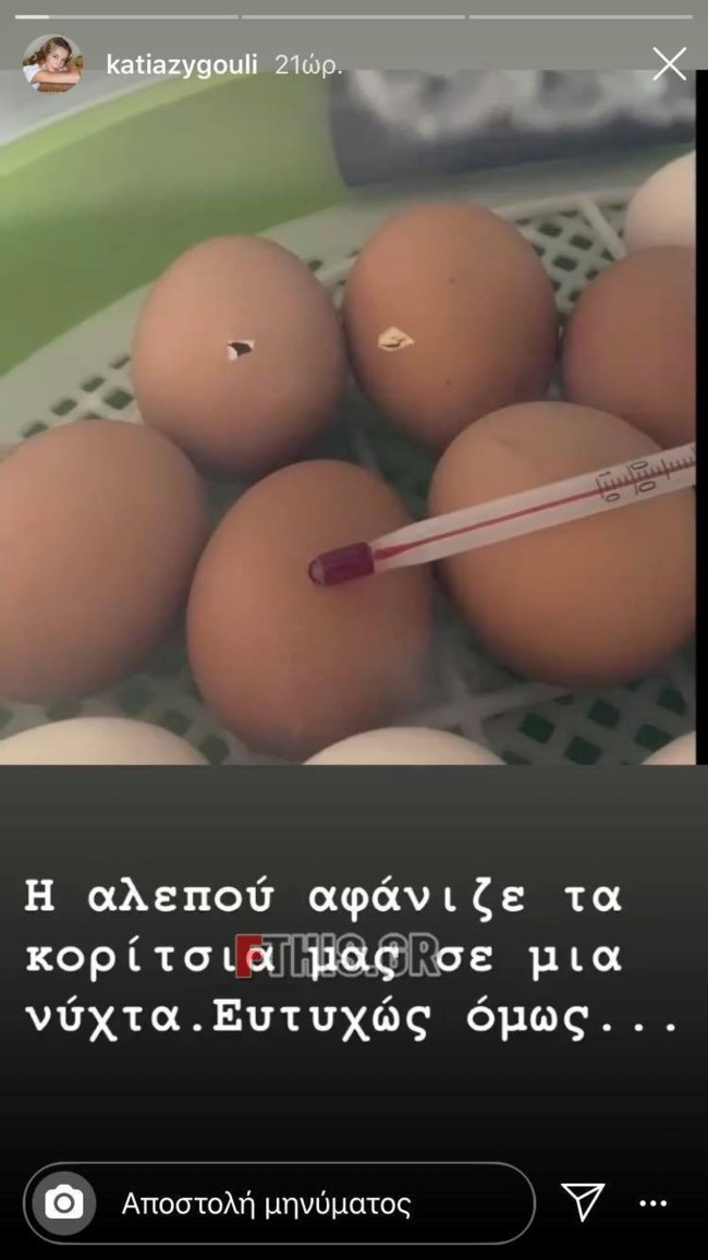 Τα... είδε όλα ο Σάκης Ρουβάς: Αλεπού μπήκε στο κοτέτσι και έφαγε όλες τις κότες του