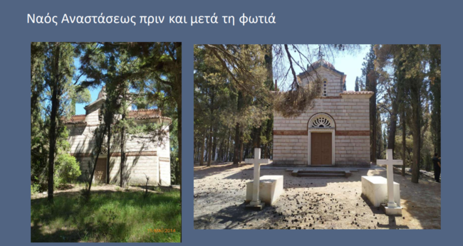 tatoi