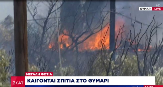 ΦΩΤΙΑ ΘΥΜΑΡΙ