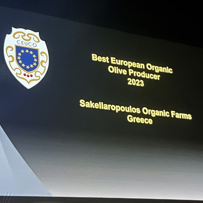 Ελαιώνες Σακελλαρόπουλου