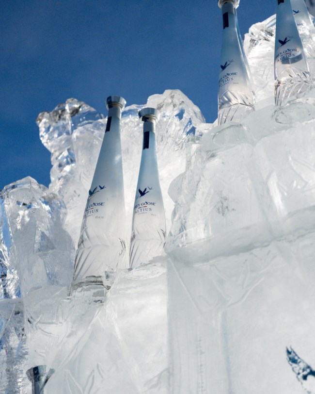 Grey-Goose