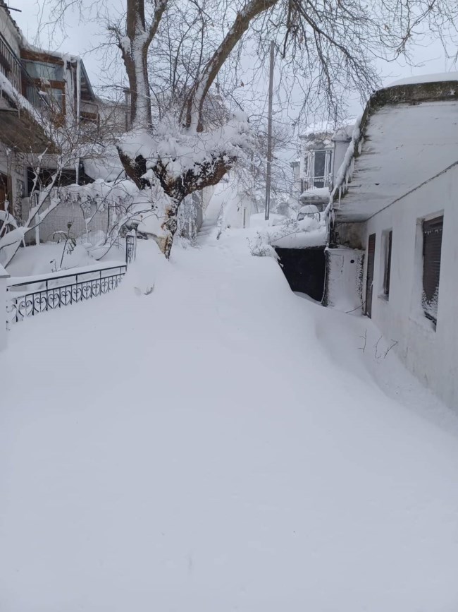 ΧΙΟΝΙΑ ΣΑΜΟΘΡΑΚΗ