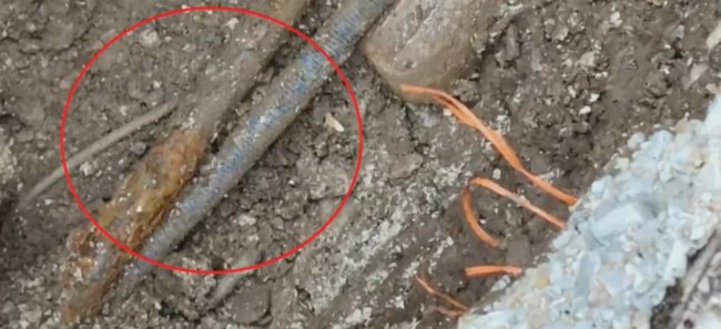 βιολαντα45343