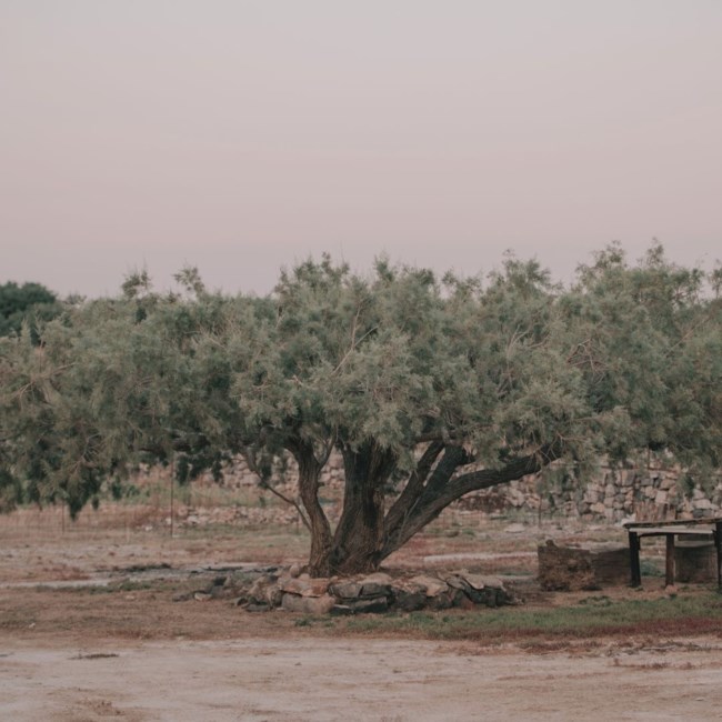 κρητη ντοκιμαντερ