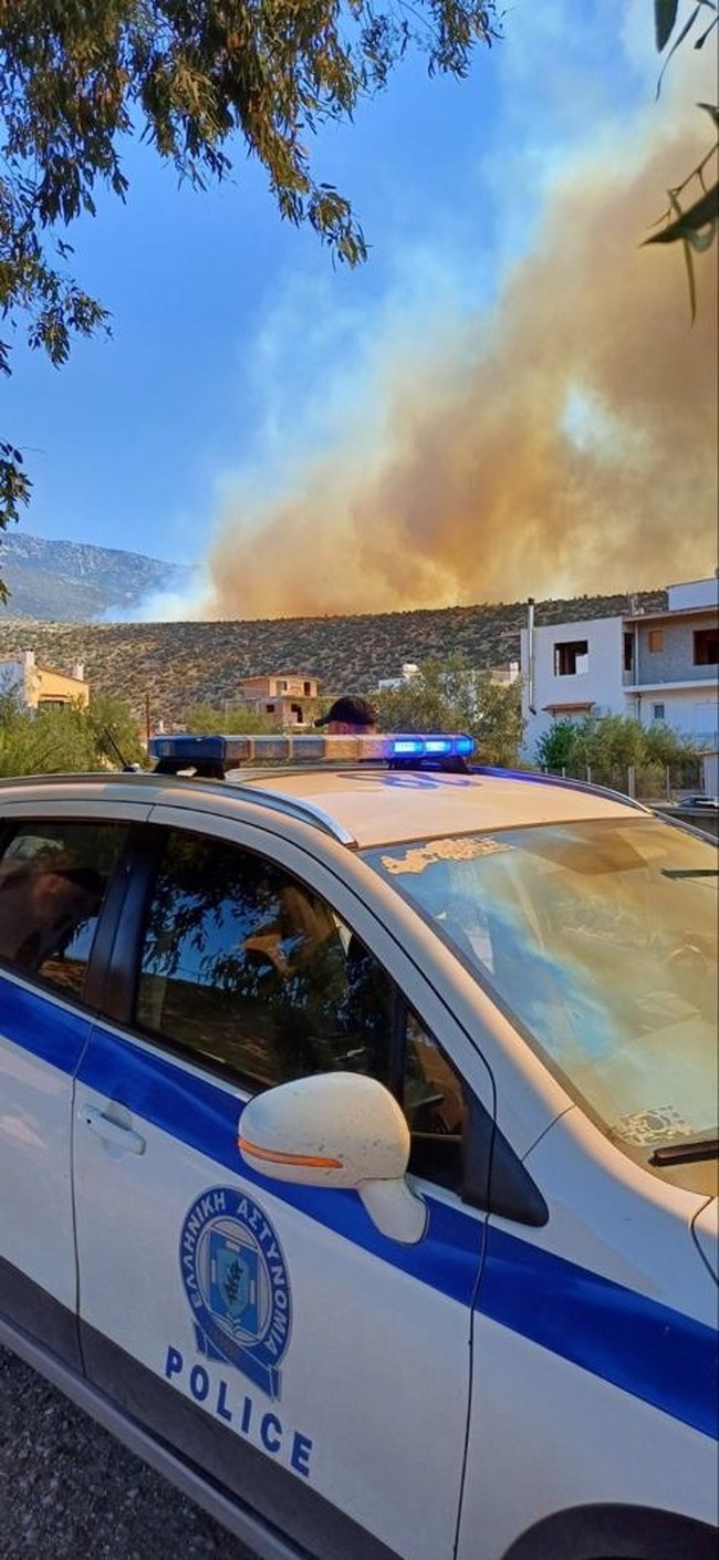 φωτια βοιωτια