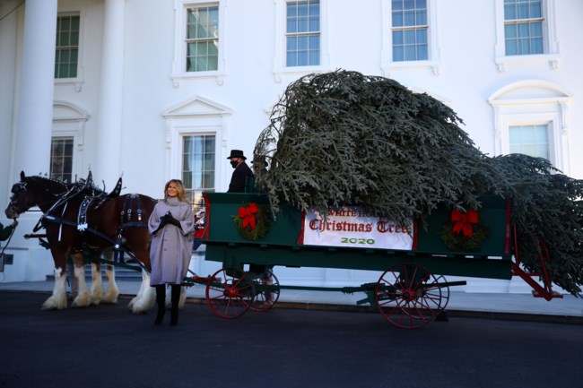 MELANIA TRUMP