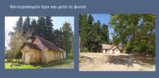 tatoi