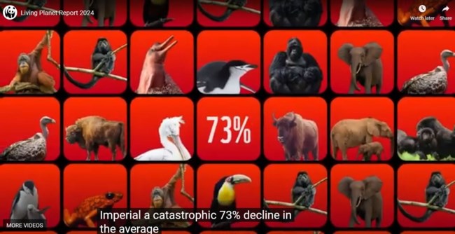 Εκθεση σοκ από τη WWF: Ο κόσμος μας σε κίνδυνο - Ο πλανήτης πλησιάζει σε επικίνδυνα σημεία καμπής - Τα κύρια αίτια της απώλειας της φύσης