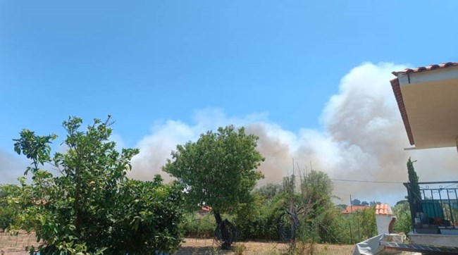Φωτιά στην παραλία Μαραθώνα: Συναγερμός στην πυροσβεστική - Μήνυμα 112 για εκκένωση, στη μάχη τρία ελικόπτερα