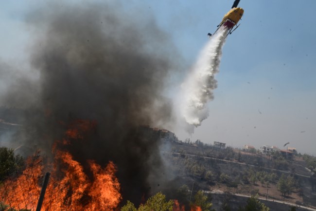Φωτιά στην Αττική: Ο Λέκκας για το "εκρηκτικό κοκτέιλ" που οδήγησε στην γρήγορη εξάπλωση του μετώπου