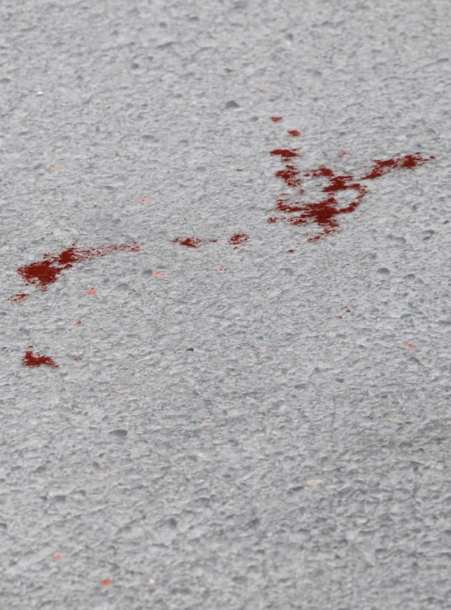 Στυγνή οπαδική δολοφονία στη Χαλκίδα: Σε εξέλιξη η προανάκριση για τους συλληφθέντες - Αναζητούνται τα μαχαίρια