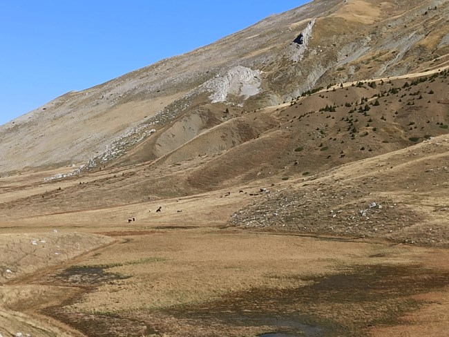 ΔΡΑΚΟΛΙΜΝΗ ΤΥΜΦΗΣ