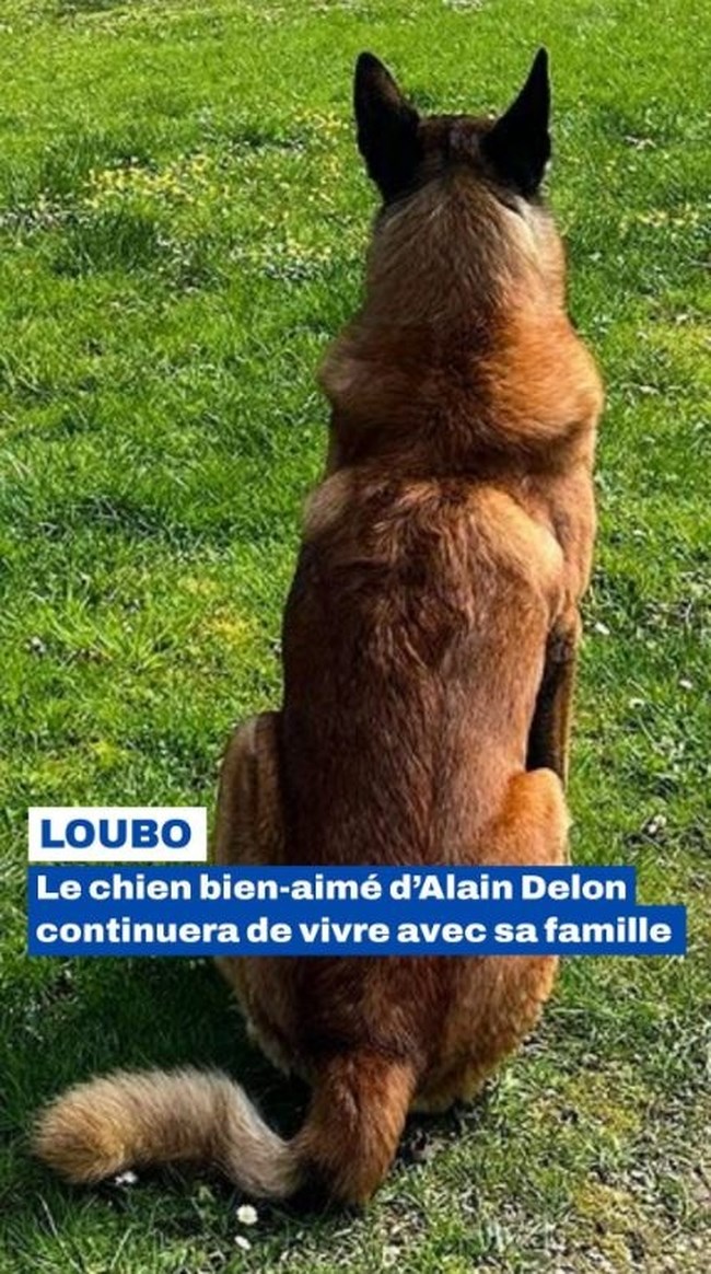 loubo