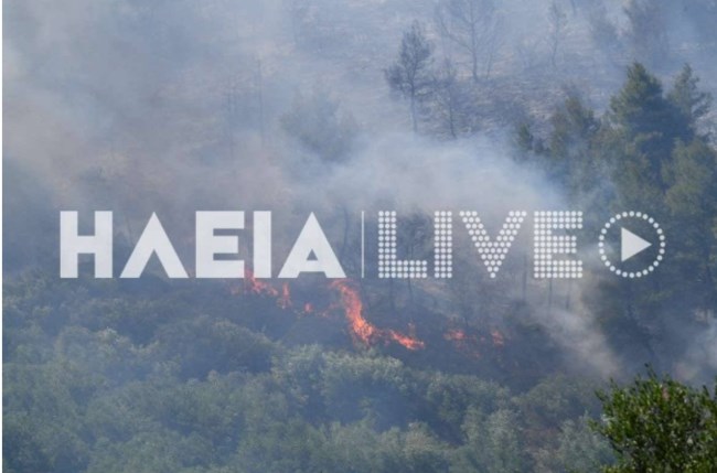 Φωτιά στην Ηλεία