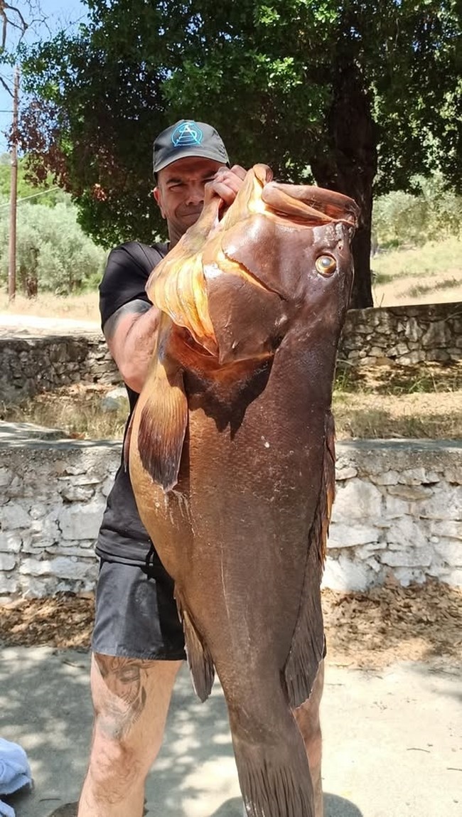Βόλος: Απίστευτος ψαροντουφεκάς έβγαλε ροφό 27 κιλών