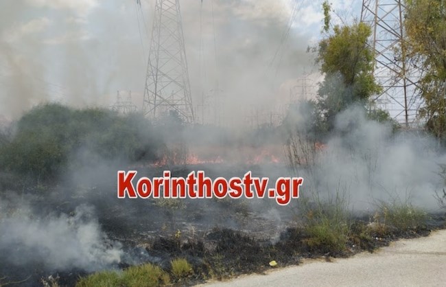 Συναγερμός στην Πυροσβεστική: Φωτιά στο Στεφάνι Κορινθίας