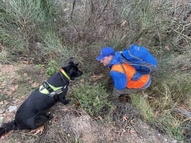 Νεκρά ζώα από φόλες  σε τρεις περιοχές της Ελλάδας: Σκυλιά, τσακάλια, αλεπού και ένας σπάνιος χρυσαετός