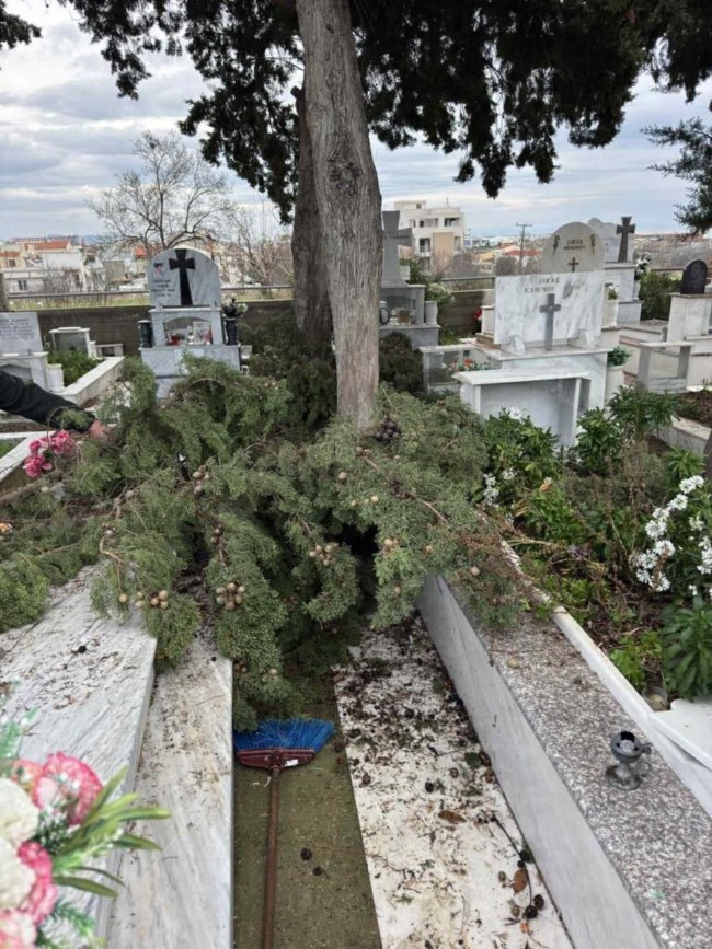 ΑΛΕΞΑΝΔΡΟΥΠΟΛΗ