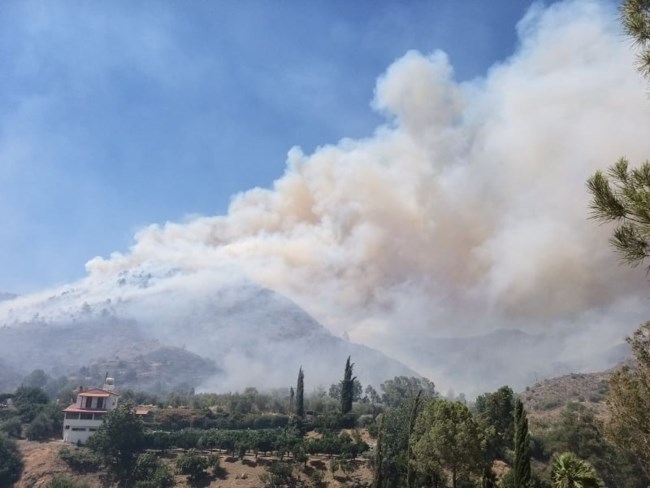 Κύπρος φωτιά