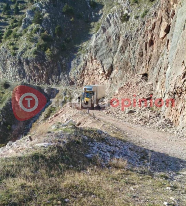 ΝΤΑΛΙΚΑ ΤΡΙΚΑΛΑ