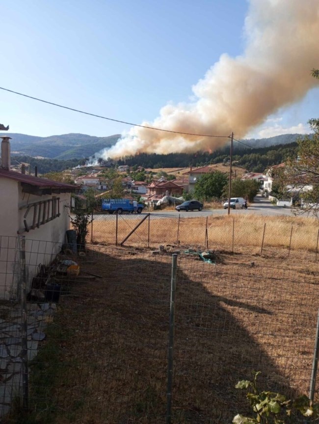 Φωτιά Γρεβενά