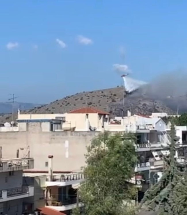 φωτια χαλκιδα