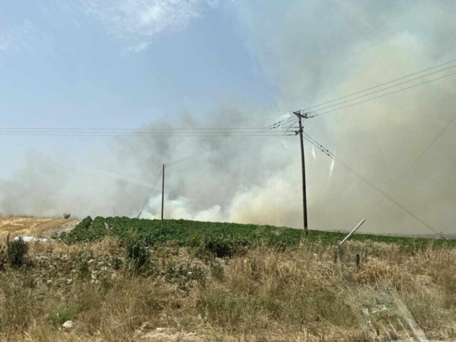 Μεγάλη φωτιά στο Βελεστίνο: Συναγερμός για τις κτηνοτροφικές μονάδες της περιοχής
