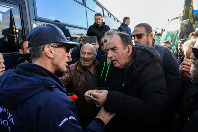 ριζος μαρουδας