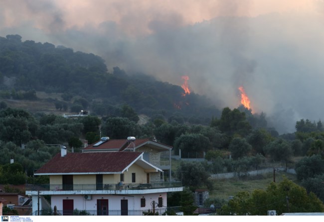 Φωτιά Κεχριές