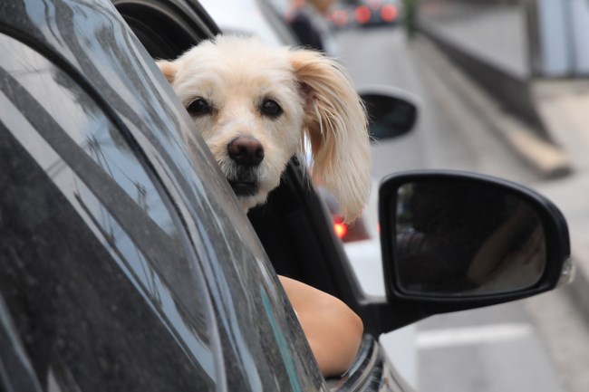 Καθαρά Δευτέρα: Με χαμηλές ταχύτητες η έξοδος  - Τα σημεία με αυξημένη κίνηση - 59.874 οχήματα έφυγαν από την Αττική
