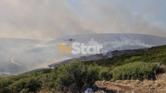 Πολλά και κρίσιμα τα μέτωπα στη φωτιά στο Πετρωτό Δομοκού - Μάχη με τις φλόγες και τους ανέμους