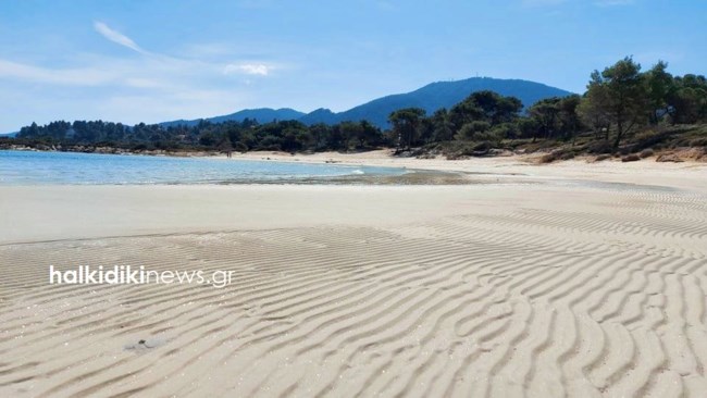 Χάθηκε η θάλασσα στην παραλία της Σιθωνίας: Εκεί που έκαναν βουτιές, τώρα κάνουν... βόλτες [εικόνες]