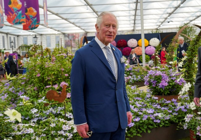 king charles