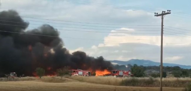 Φωτιά σε εργοστάσιο ξυλείας στις Σέρρες: Μάχη με τις φλόγες στο Νέο Σούλι - Ήχησε το 112, "μείνετε σε ετοιμότητα"