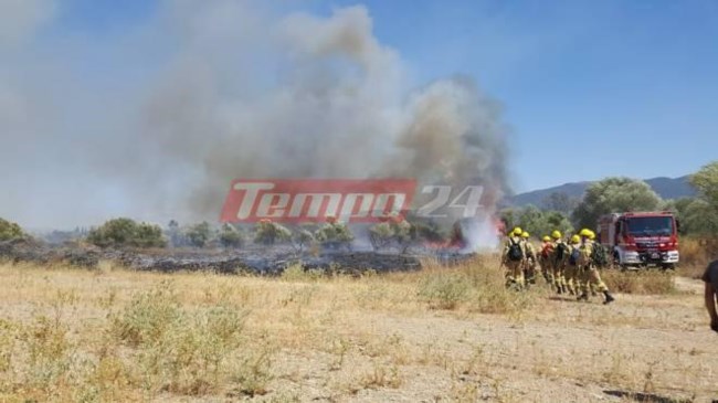 Αχαΐα: Πυρκαγιά ξέσπασε σε αγροτοδασική έκταση στην περιοχή Ράχη - Επιχειρούν και δύο πετζετέλ