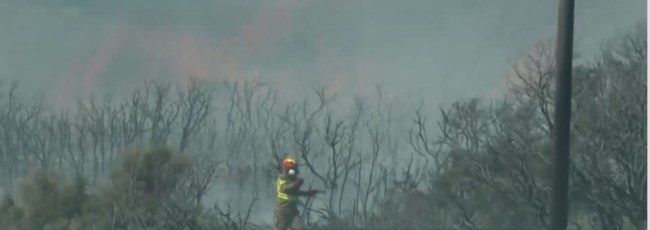 Κύθηρα: Μεγάλη αναζωπύρωση της φωτιάς - Νέο μήνυμα "112" για εκκένωση σε τρεις οικισμούς