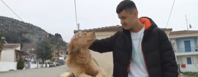 σκύλος σεισμός ελασσόνα
