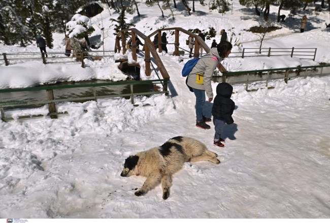 χιονι