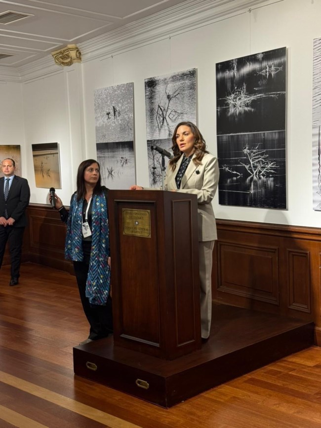 ολγα κεφαλογιαννη