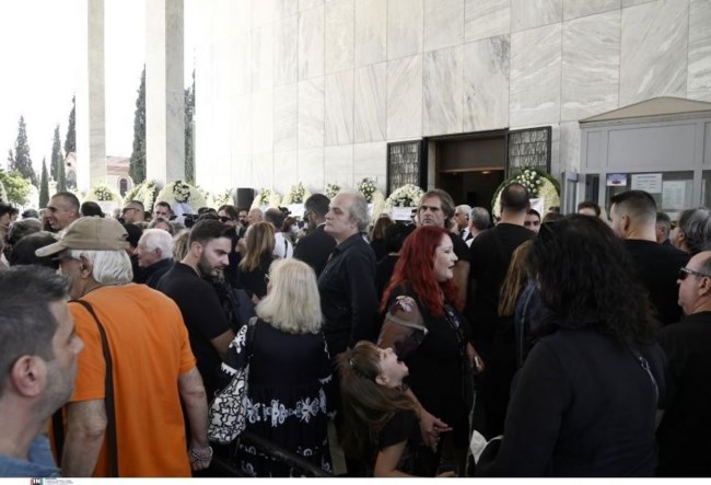 ΜΙΜΗΣ ΠΛΕΣΣΑΣ ΚΗΔΕΙΑ