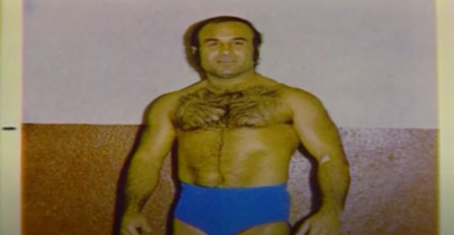 ΙΠΤΑΜΕΝΟΣ ΕΛΛΗΝΑΣ