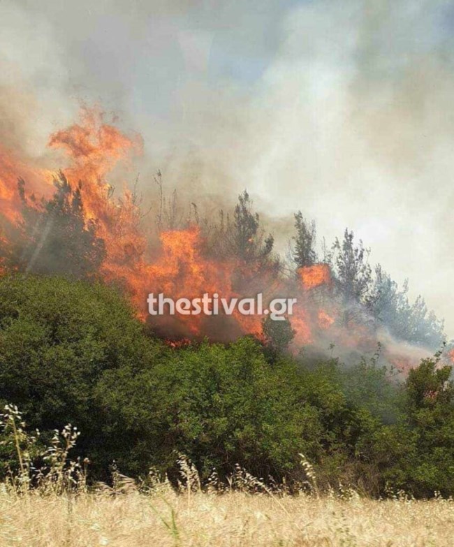 Φωτιά σε δασική έκταση στη Βόλβη - Μήνυμα 112 στους κατοίκους να είναι σε ετοιμότητα [εικόνες]