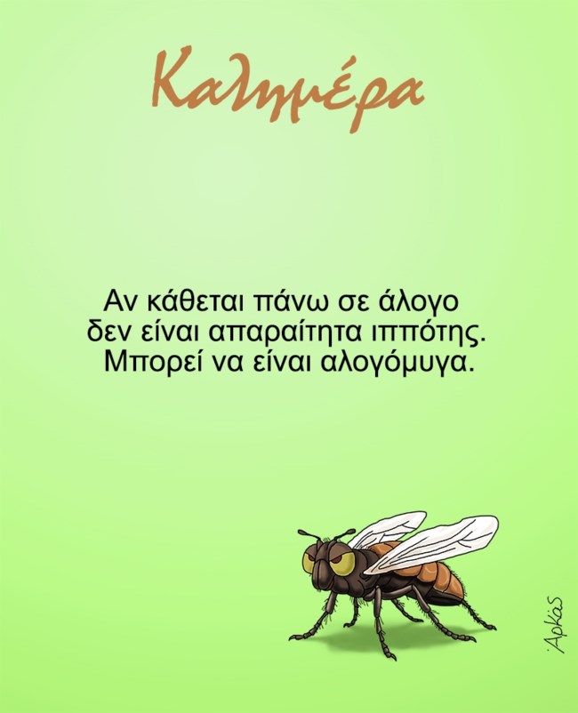 Αρκάς: Το νέο αιχμηρό σκίτσο για τον ιππότη στο άλογο και... την αλογόμυγα