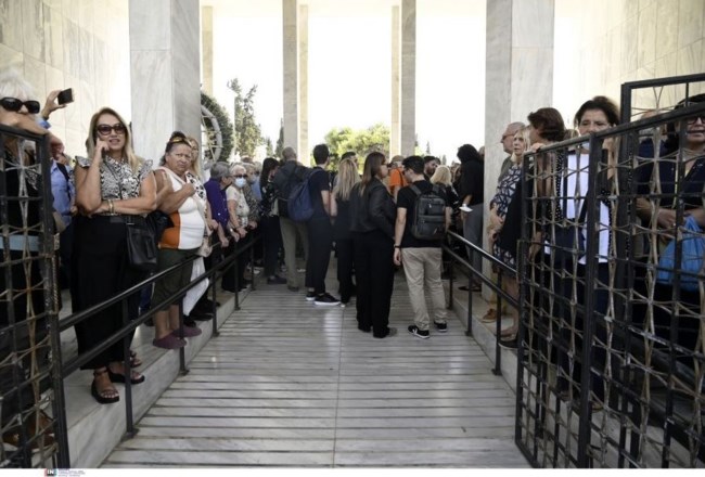 ΜΙΜΗΣ ΠΛΕΣΣΑΣ ΚΗΔΕΙΑ